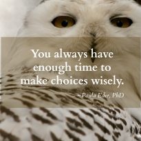 Wise Choices Infographic