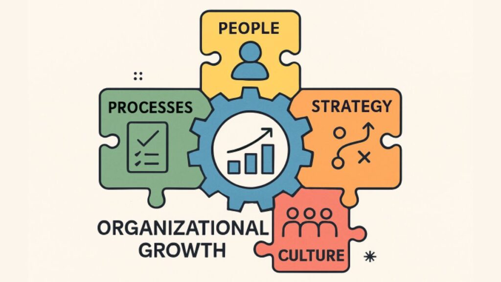 Holistic Strategies for Scaling Organizations