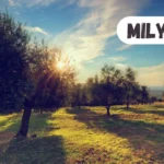 Milyom: Trends and Predictions for the Next Generation