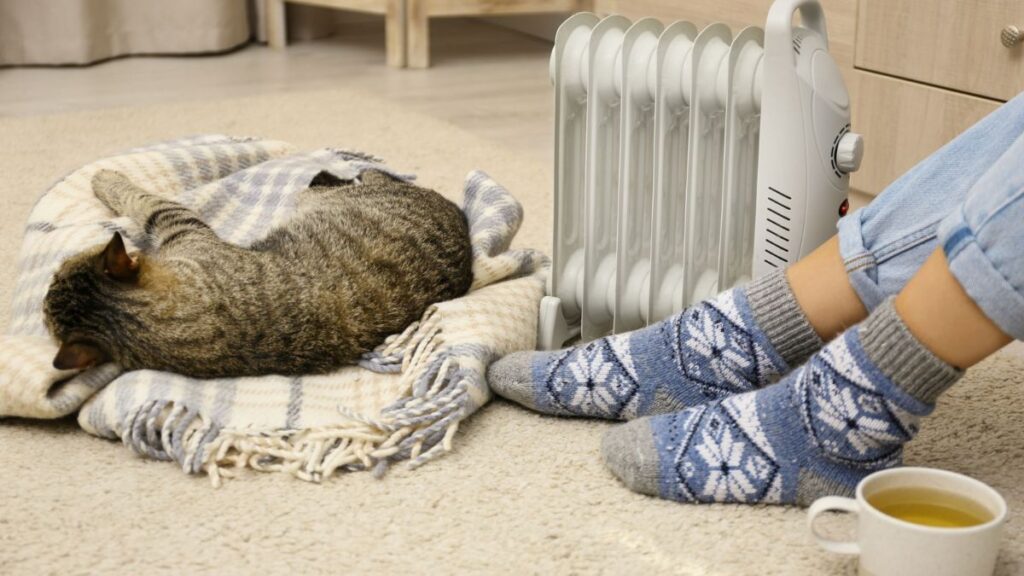 When Your Heater Goes Silent: A Personal Take on Fixing What Warms the Home