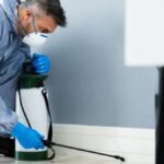 Why an Assessment from an Exterminator Can Go a Long Way for Pest Issues