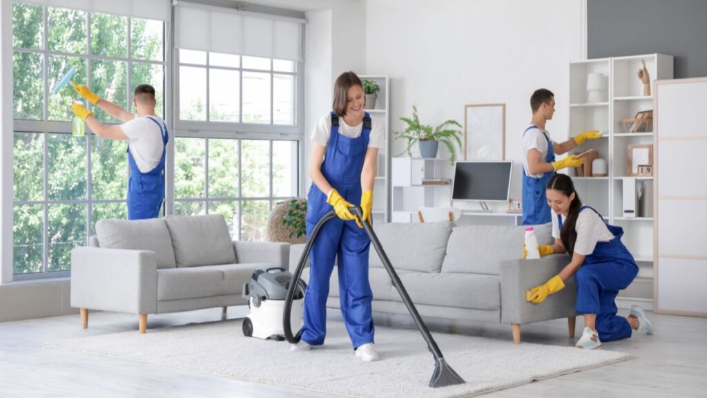 Professional Cleaning Services