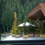 How to Design a Sustainable Lakefront Home: Harmonizing Modern Architecture with Nature