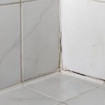 How to Spot Hidden Shower Water Damage Before It Spreads in Cornelius, NC